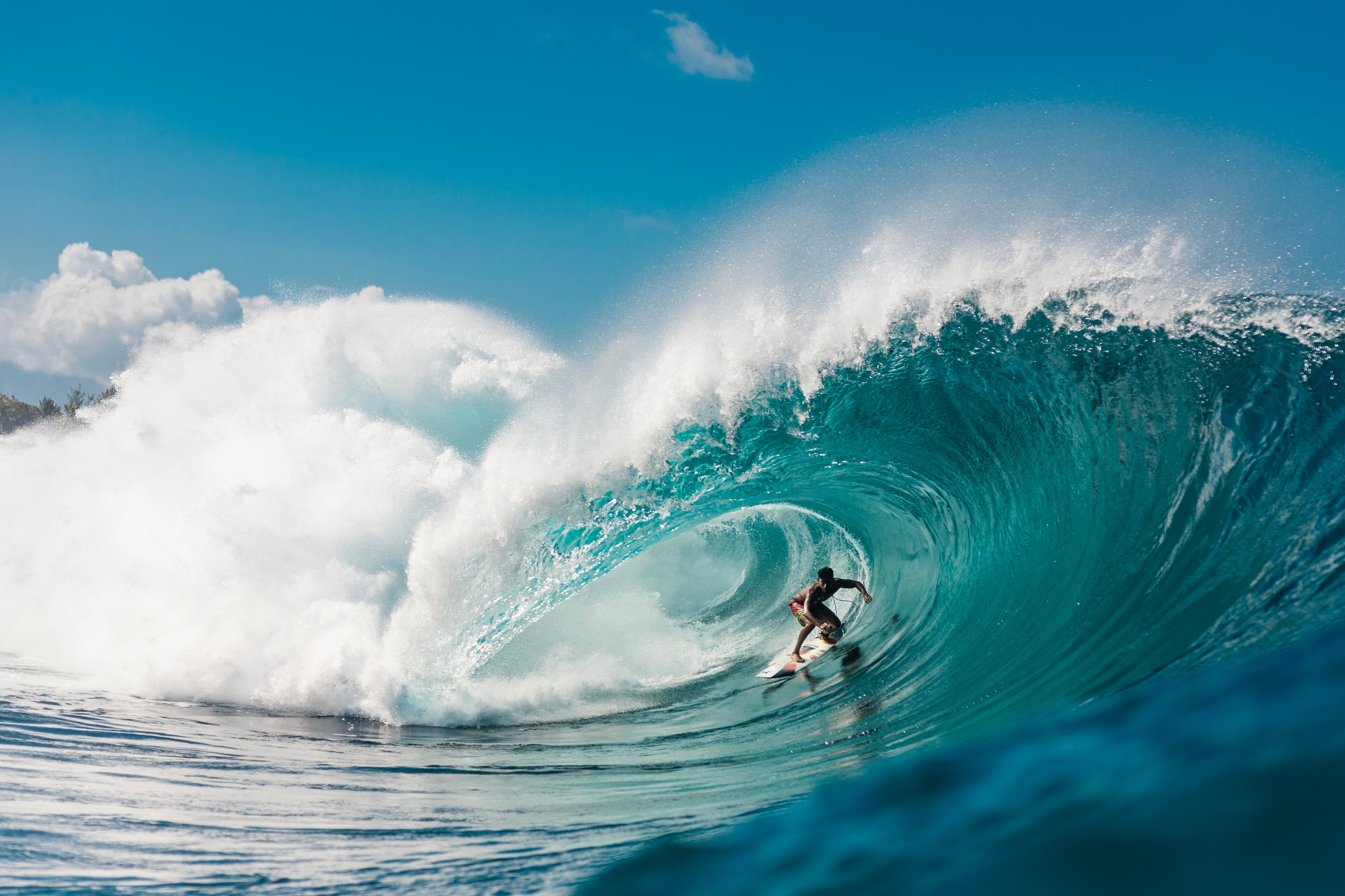 ShaperX - Sharp Eye Surfboards // Arakawa Surfboards // Good Hope